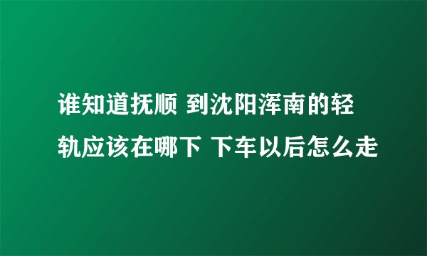 谁知道抚顺 到沈阳浑南的轻轨应该在哪下 下车以后怎么走