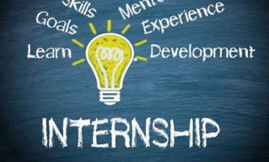 internship 什么意思