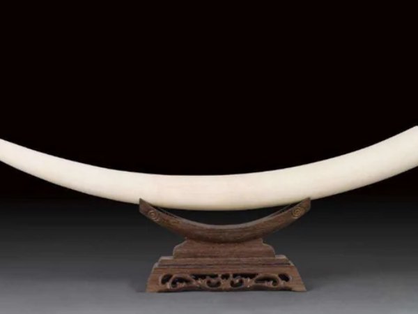 白色有哪几种白