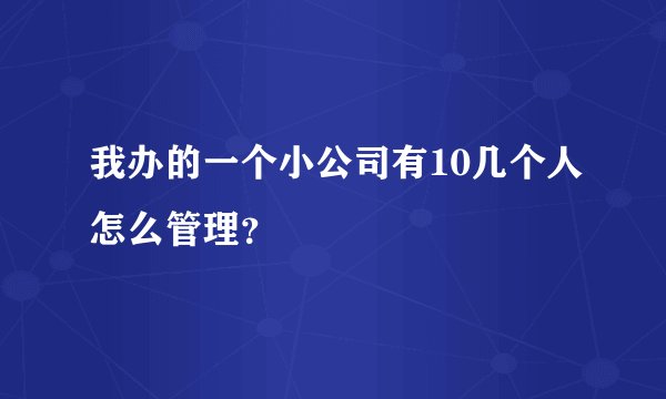我办的一个小公司有10几个人怎么管理？