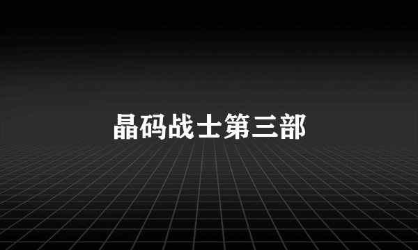 晶码战士第三部