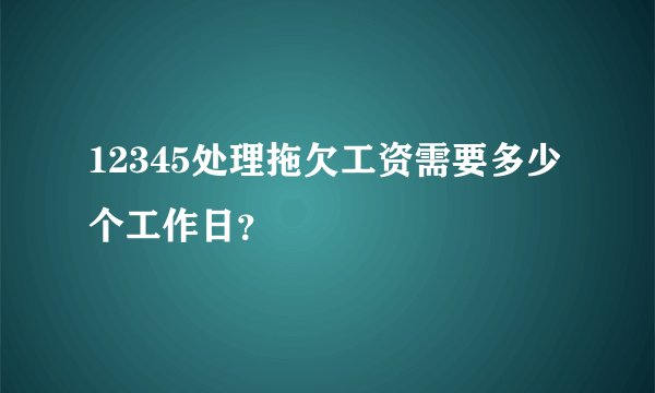 12345处理拖欠工资需要多少个工作日？