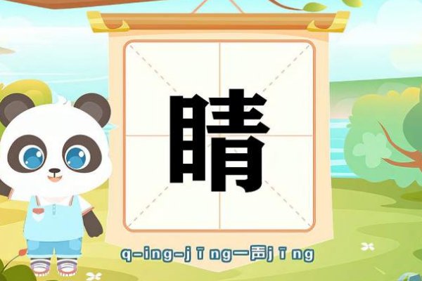 睛的组词是什么呀