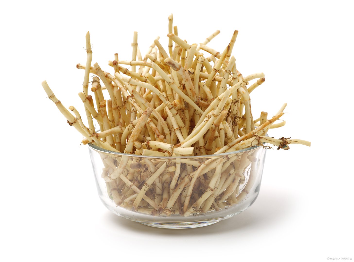 为什么折耳根又被叫做鱼腥草？它生长在哪些地方？