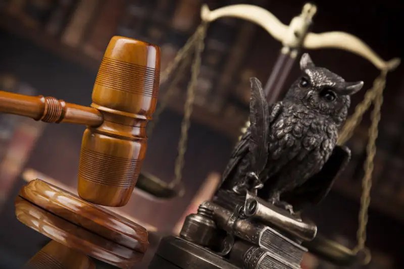 重庆一辆特斯拉撞倒多名路人，致2死4伤，此事故会如何划分责任？