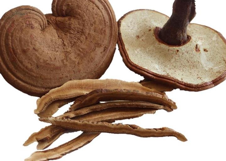 施梦月的治疗理念