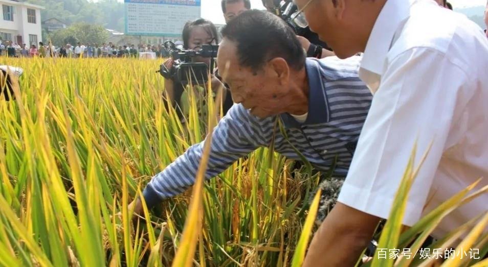 “杂交水稻之父”袁隆平去世,听说之前摔了一跤,是不是这个原因导致的?