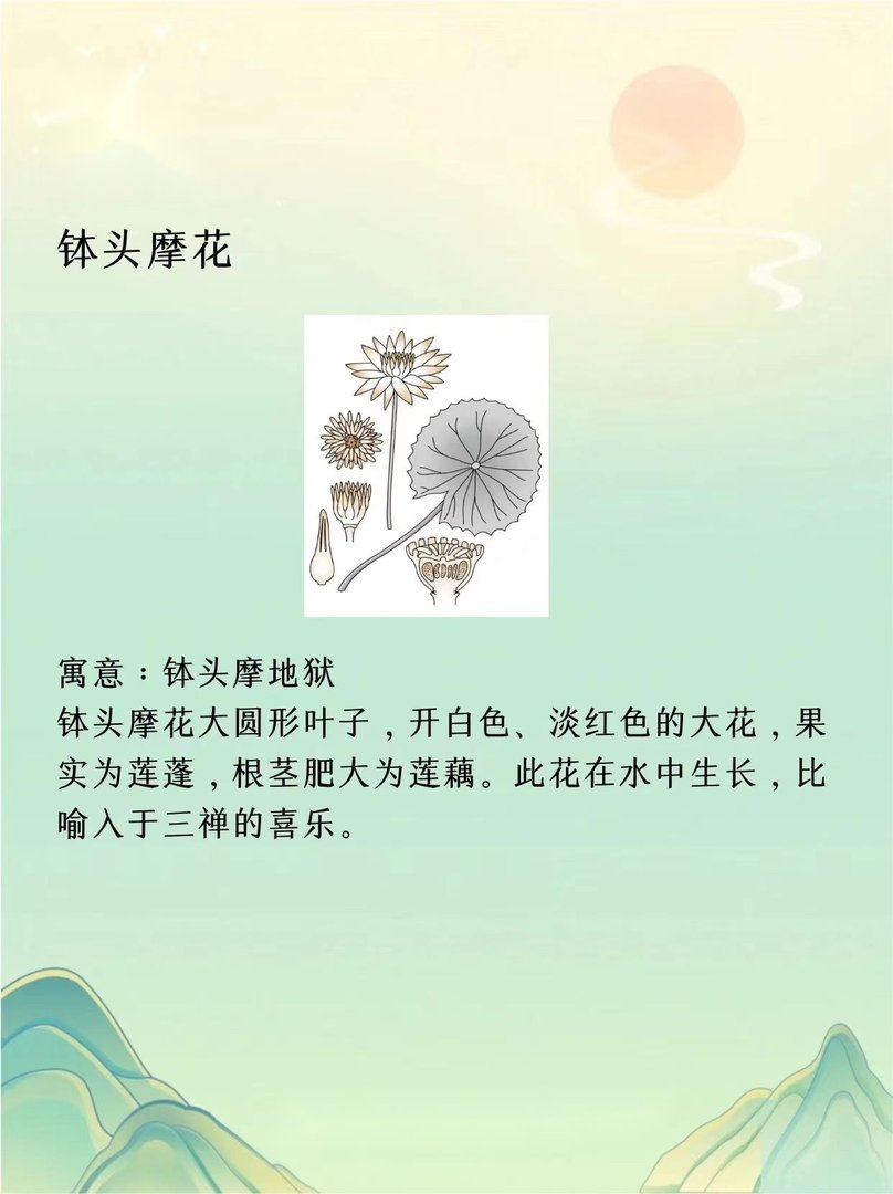 天花乱坠是什么意思？？