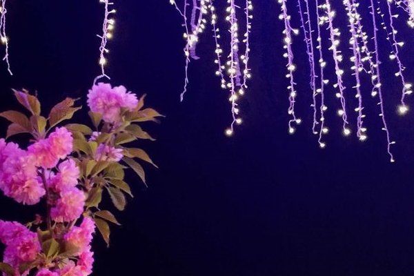 月下花前下一句