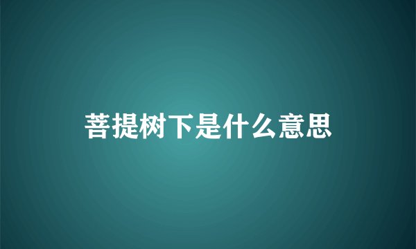 菩提树下是什么意思