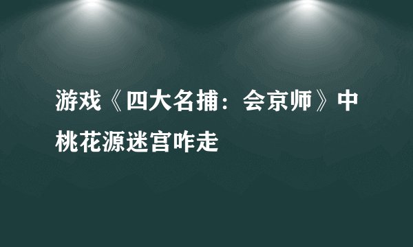 游戏《四大名捕：会京师》中桃花源迷宫咋走