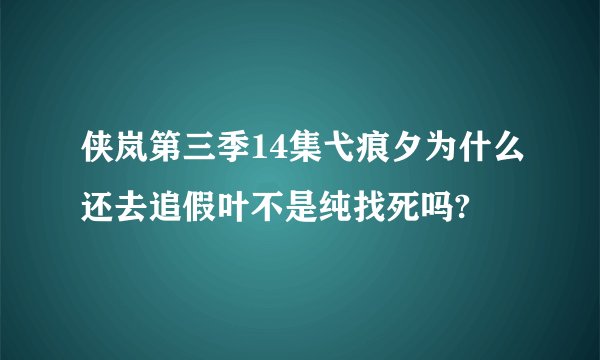 侠岚第三季14集弋痕夕为什么还去追假叶不是纯找死吗?