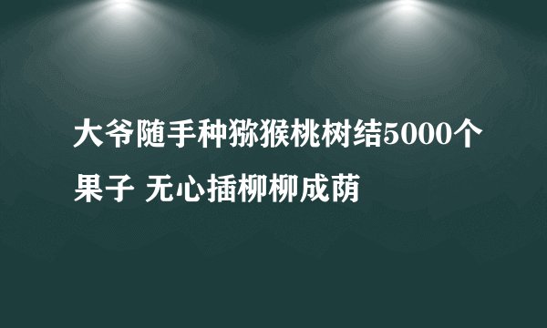 大爷随手种猕猴桃树结5000个果子 无心插柳柳成荫
