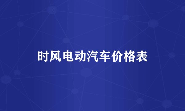 时风电动汽车价格表