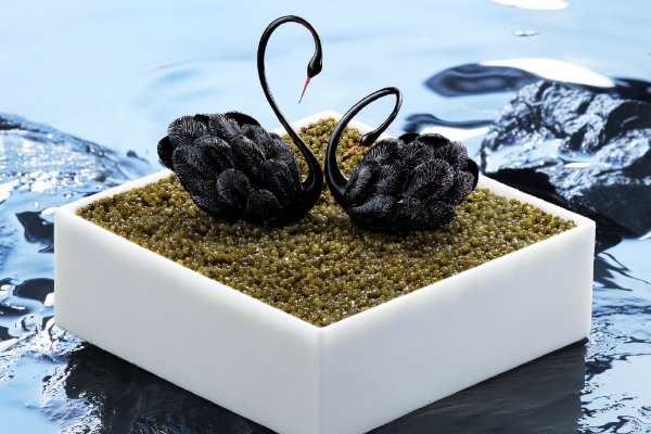 黑天鹅外卖是什么意思?