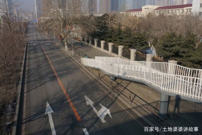 江湖人称“溜达鸡”的老尹太太，如何以一己之力撂倒了整座沈阳城？