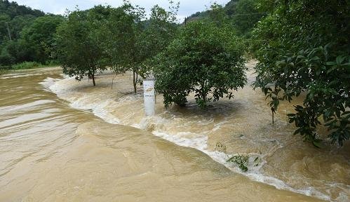 湖北高温预警，洪涝过后又迎暴晒这是为什么呢？