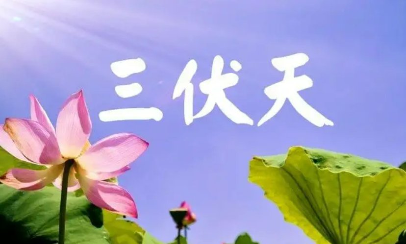 一伏是几天一共几伏2022