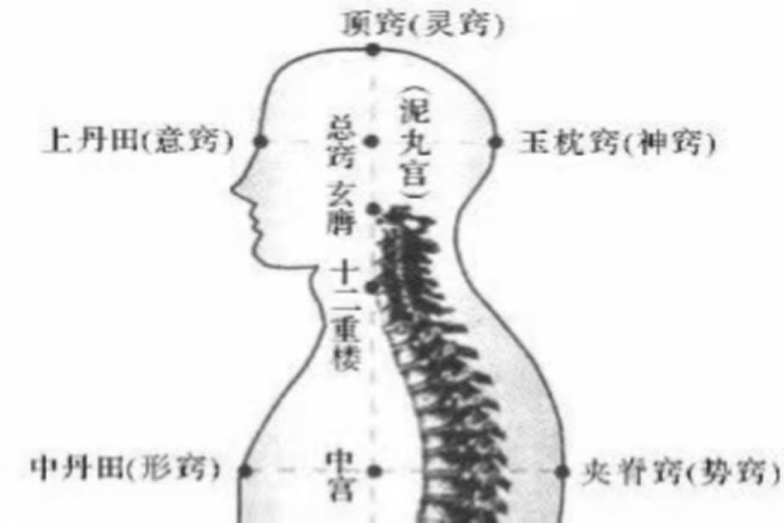 泥丸宫在什么位置