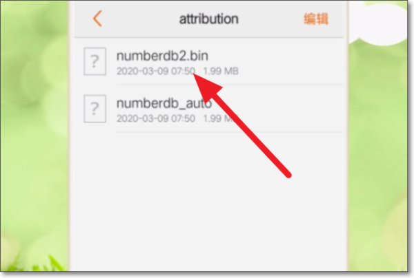 如何打开手机里bin格式的文件