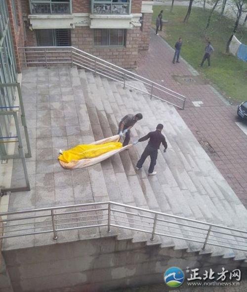 腐尸鹦鹉的灭绝