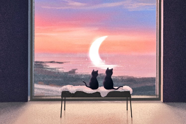 小确幸的准确意思