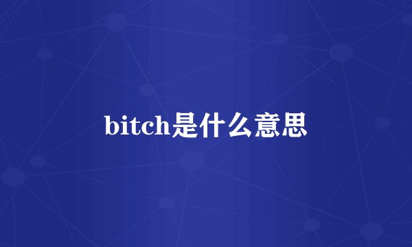 bitch是什么意思