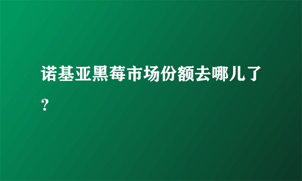 诺基亚黑莓市场份额去哪儿了？