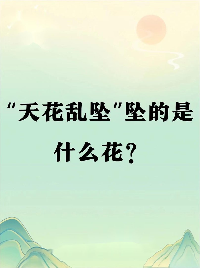 天花乱坠是什么意思？？