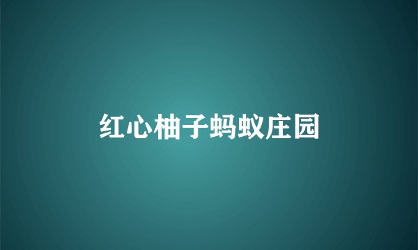 红心柚子蚂蚁庄园