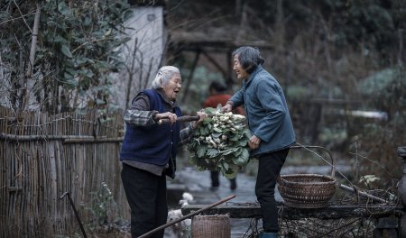 妯娌的正确读音