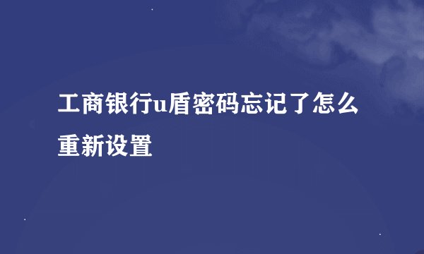 工商银行u盾密码忘记了怎么重新设置