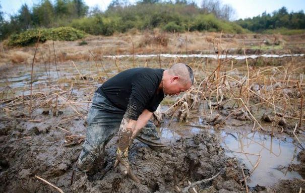 淤泥的淤怎么组词