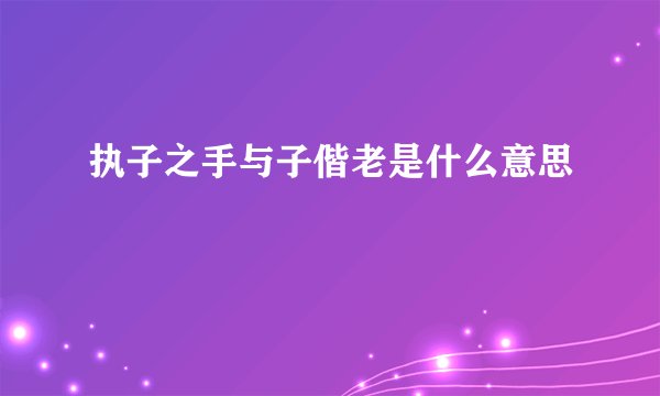 执子之手与子偕老是什么意思