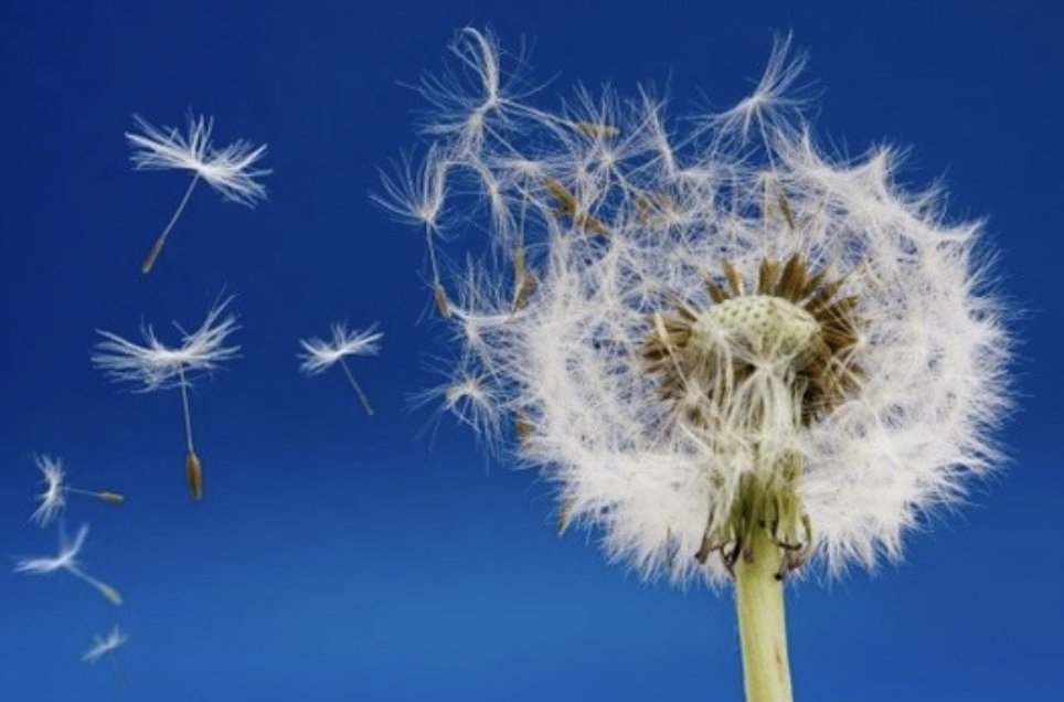 粗心的小朋友是指什么