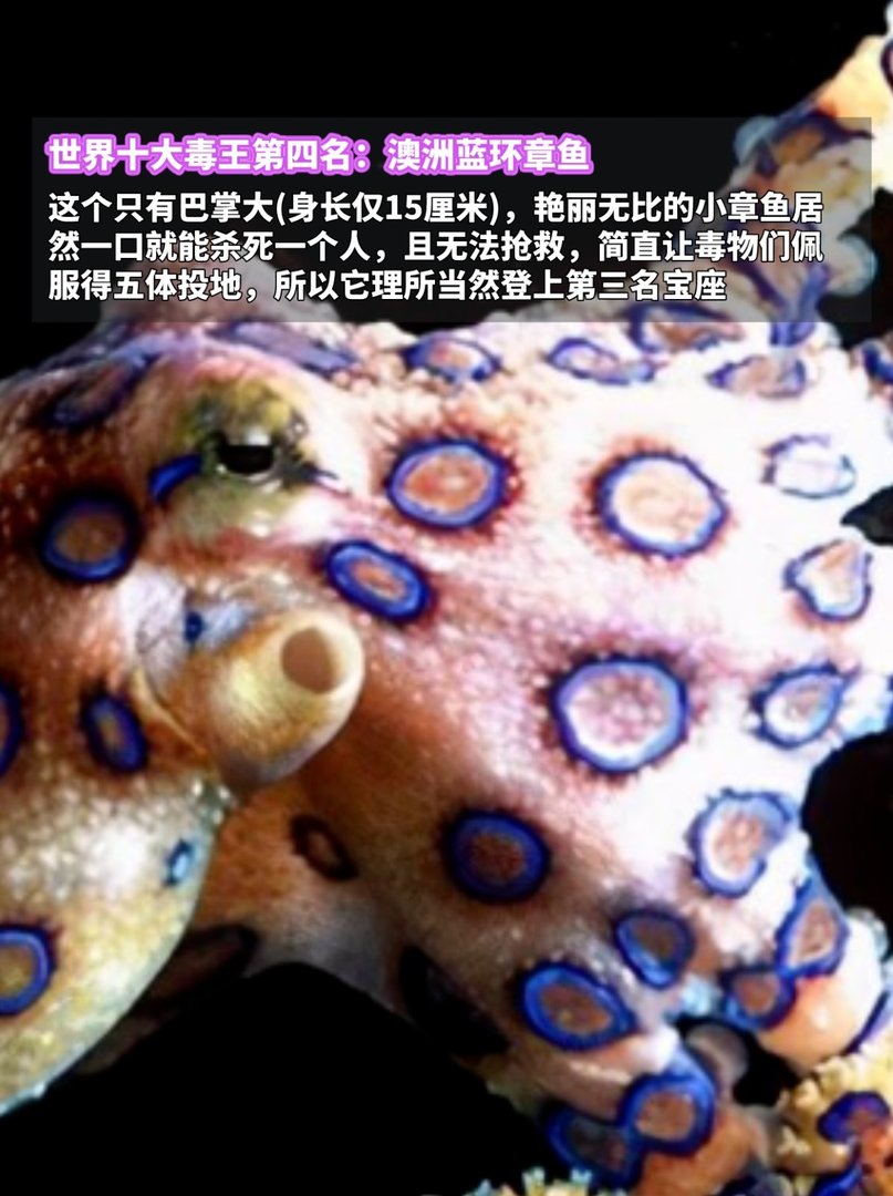 世界十大毒王，排名第一毋庸置疑