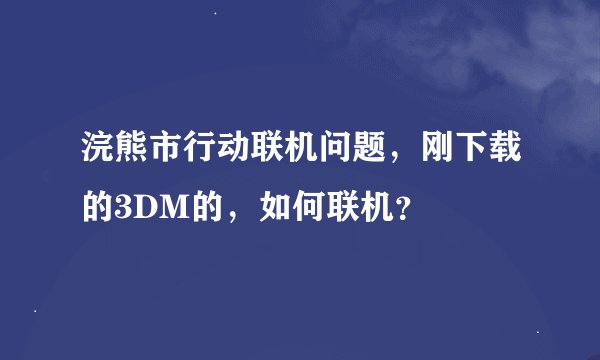 浣熊市行动联机问题，刚下载的3DM的，如何联机？