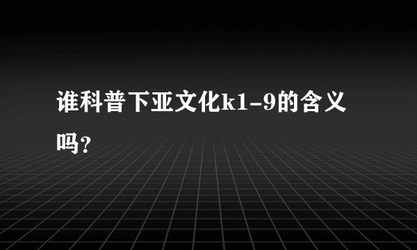 谁科普下亚文化k1-9的含义吗？