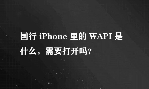 国行 iPhone 里的 WAPI 是什么，需要打开吗？