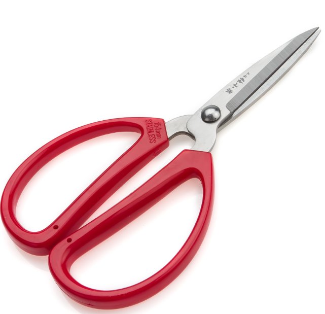 剪的笔画顺序怎么写