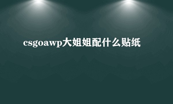 csgoawp大姐姐配什么贴纸