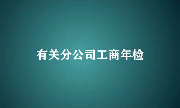 有关分公司工商年检