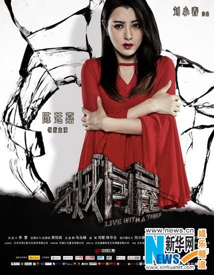 与贼同屋的介绍