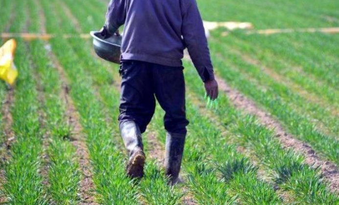 农事活动包括哪几个方面