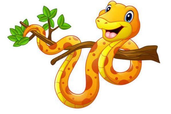 什么动物根壮叶茂