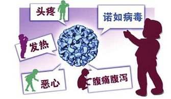 中国农大现诺如病毒，感染这种病毒之后会有哪些症状表现？