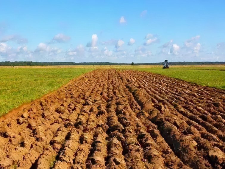 农村禁止的5种行为