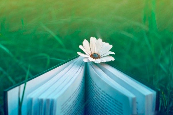 求推荐一加0.5加0.5的文。