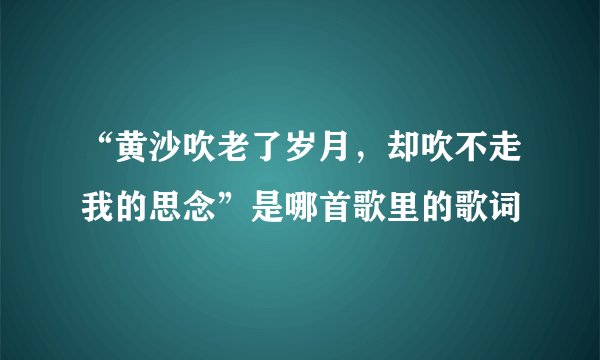 “黄沙吹老了岁月，却吹不走我的思念”是哪首歌里的歌词