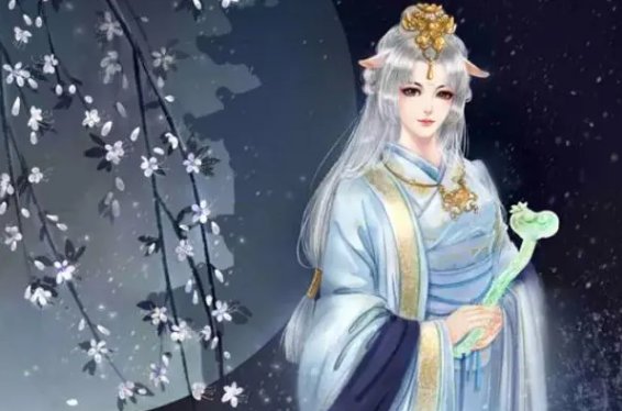 海棠搜书自由的小说冷门